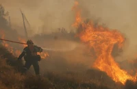 Φωτιά στο Λασίθι: Μήνυμα του 112 για εκκένωση - Ενισχύθηκαν οι δυνάμεις της Πυροσβεστικής