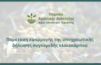 Παράταση εφαρμογής της υποχρεωτικής δήλωσης συγκομιδής ελαιοκάρπου έως την 1η Οκτωβρίου 2027