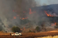 Τρεις συλλήψεις για τις πυρκαγιές σε Λαύριο και Τρίκαλα: Από καύση χόρτων και κοπή μετάλλων