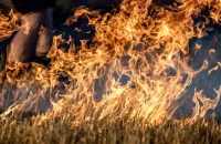 «Χειροπέδες» σε 25χρονο για φωτιά στο Λαγονήσι - Έκαιγε ξερά χόρτα