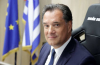 Άδωνις Γεωργιάδης: «Δεν μπορεί να είσαι στη Νέα Δημοκρατία και να μην είσαι καραμανλικός»