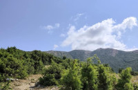 Πρωτοβουλία πολιτών και φορέων για τη Διάσωση του Μενοικίου: Καταθέσαμε έγκαιρα προσφυγή στο ΣτΕ πριν τη λήξη της προθεσμίας.