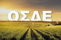 ΥΠΑΑΤ: Χωρίς πρόσθετες υποχρεώσεις για τους αγρότες το ΟΣΔΕ 2026 - Από το 2027 η υποχρεωτική εγγραφή στο ΜΑΑΕ