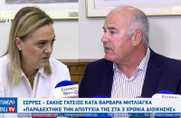 Σ. Γάτσιος: Η Μητλιάγκα χρησιμοποιεί εσκεμμένα ψευδείς χαρακτηρισμούς - Να μην την απαξιώνουν ως γυναίκα και δικηγόρο λέει η Μητλιάγκα
