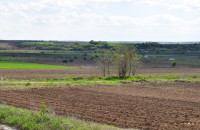 Αναρτήθηκε ο αναδασμός- Εντός 10 ημερών οι ενστάσεις