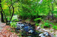 Δήμος Σερρών: Διακοπή κυκλοφορίας στη Γέφυρα «Τσέλιου»