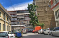 Διάβαση Πεζών: Οι δημοτικοί σύμβουλοι να ψηφίσουν κατά της θανατικής ποινής του πλάτανου