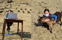 10χρονη βοσκοπούλα κάνει τηλεκπαίδευση στα βουνά λόγω κορωνοϊού