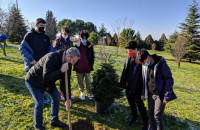 Στην εκστρατεία «Decade on Ecosystem Restoration 2021 – 2030: Παρών το Αριστοτέλειο