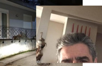 Ιωάννινα: Αυτός είναι ο 69χρονος που σκότωσε στο ξύλο την 79χρονη σύζυγό του