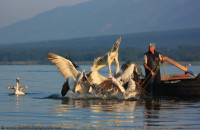 ΚΙΝΑΛ Σερρών: Το φυσικό περιβάλλον παραδίδεται στα επιχειρηματικά συμφέροντα