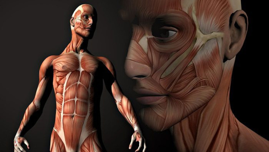 OI AΣΘΕΝΕΙΕΣ ΠΟΥ ΠΡΟΚΑΛΕΙ Ο ΧΑΡΑΚΤΗΡΑΣ ΜΑΣ!