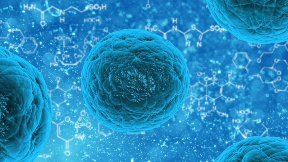 ΒΡΕΘΗΚΕ Η ΘΕΡΑΠΕΙΑ ΤΟΥ ΚΑΡΚΙΝΟΥ;