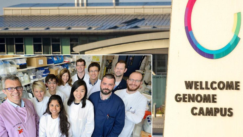 ΘΕΡΑΠΕΙΑ ΛΕΥΧΑΙΜΙΑΣ ΜΕ ΚΟΛΛΥΡΙΟ ΠΟΥ ΑΝΑΚΑΛΥΨΕ Η ΕΛΛΗΝΙΚΗ DREAM TEAM TOY CAMBRIGDE!