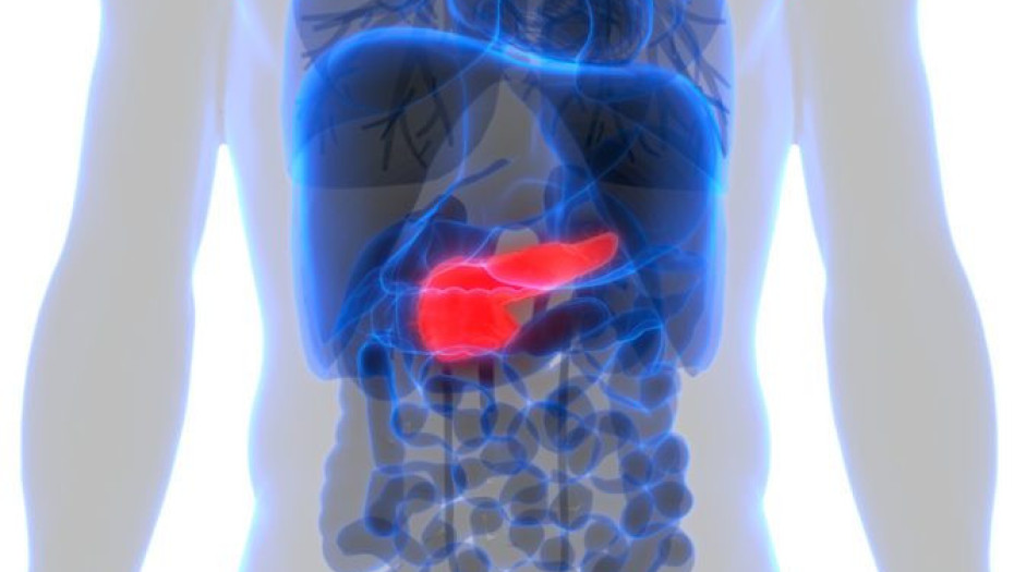 ΚΑΡΚΙΝΟΣ ΣΤΟ ΠΑΓΚΡΕΑΣ: ENAΣ ΣΤΟΥΣ ΤΡΕΙΣ ΕΝΗΛΙΚΕΣ ΑΓΝΟΕΙ ΑΥΤΑ ΤΑ «ΑΘΩΑ» ΣΗΜΑΔΙΑ!