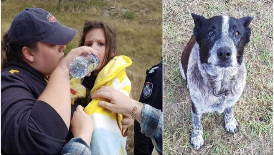 ΜΑΞ: Ο ΣΚΥΛΟΣ «ΗΡΩΑΣ» ΠΟΥ ΕΣΩΣΕ ΕΝΑ ΤΡΙΧΡΟΝΟ ΚΟΡΙΤΣΑΚΙ!