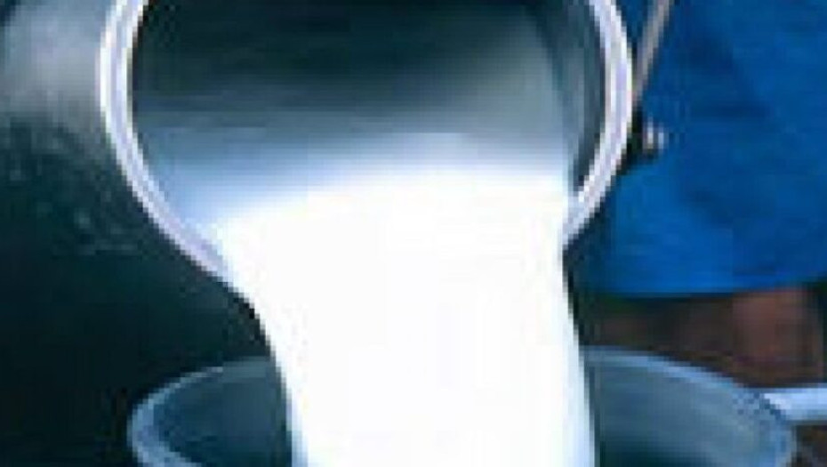 Το κατσικίσιο γάλα συμβάλλει στη θεραπεία του γαστρικού έλκους, της οστεοπόρωσης, της σιδηροπενίας και της αρτηριοσκλήρυνσης