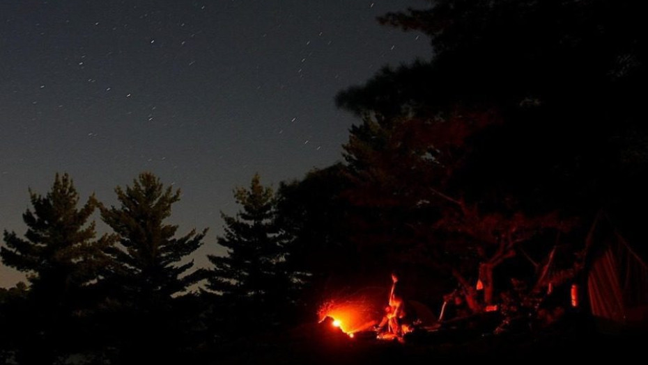 Ποιο ζώο ευθύνεται για 725.000 θανάτους ανθρώπων κάθε χρόνο