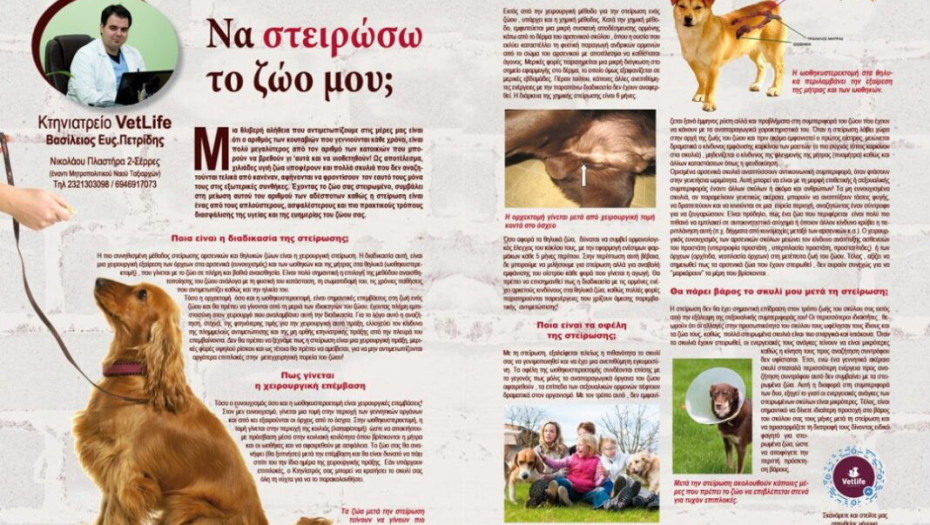 ΝΑ ΣΤΕΙΡΩΣΩ ΤΟ ΖΩΟ ΜΟΥ;