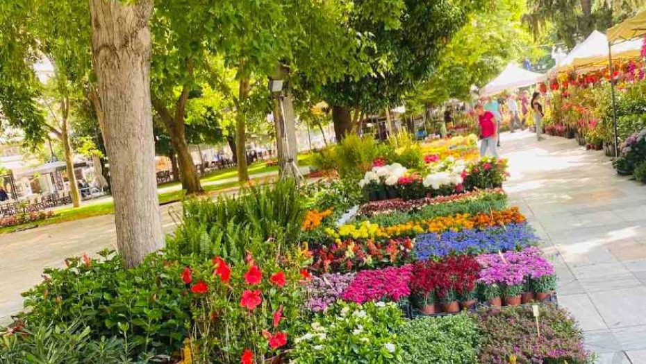 18η Ανθοκομική Έκθεση Σερρών: Πλημμύρισε με χρώματα και αρώματα η Πλατεία Ελευθερίας