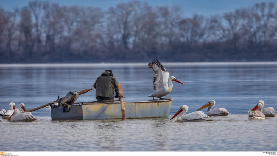 Από την 1η Απριλίου εως τις 20 Μαίου: Απαγορεύεται το ψάρεμα σε Κερκίνη, χειμάρρους και ποτάμια