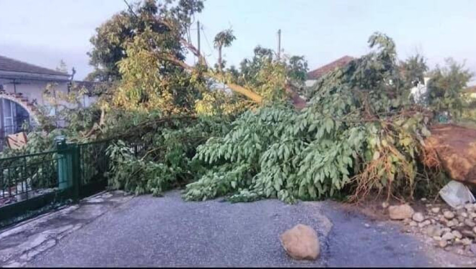 Νομαρχιακή Επιτροπή ΠΑΣΟΚ Σερρών: Μεγάλες ζημιές από τη ακραία θεομηνία