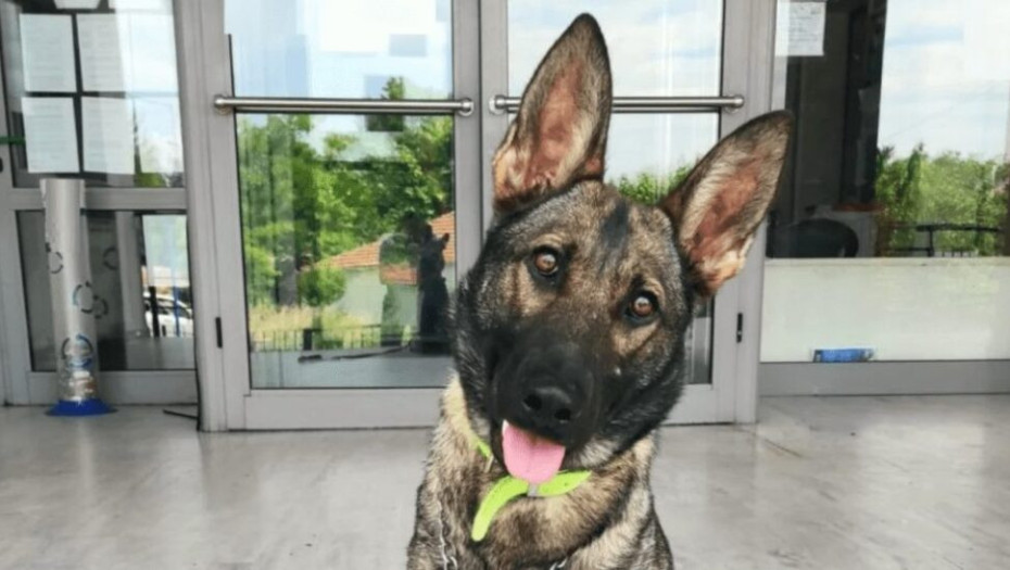 Καθάρισε η «Ρόξι»: Βρήκε ηρωίνη και κοκαΐνη