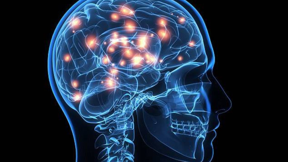 Ο πολύπλοκος ανθρώπινος εγκέφαλος – Η συγκίνηση είναι η ενέργεια που κινεί τον κόσμο.