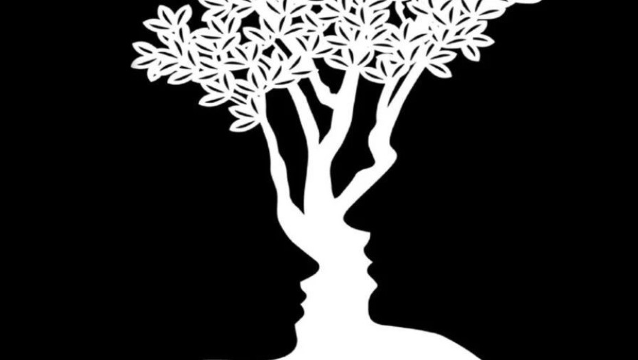 Τι είδατε πρώτο στην εικόνα; Το τεστ προσωπικότητας που αποκαλύπτει πολλά για εσάς