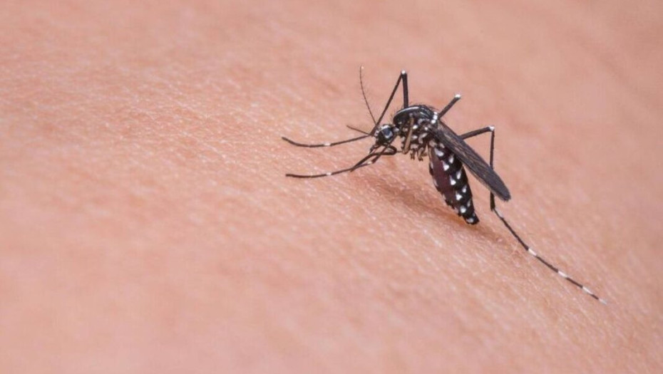 Μεγάλη ανησυχία από τους επιστήμονες – «Ίσως και μια μετάλλαξη μακριά ο Ζίκα για να γίνει πανδημία»
