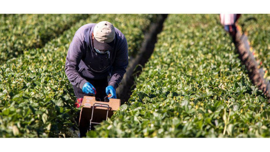 N.E ΠΑΣΟΚ Σερρών: Αγρότες σε απόγνωση – Κυβέρνηση σε αποδρομή