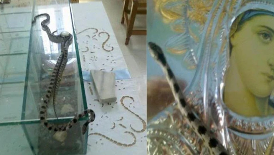 Η ιστορία πίσω από το θαύμα με τα φιδάκια της Παναγίας, που συμβαίνει συγκεκριμένες ημέρες κάθε χρόνο