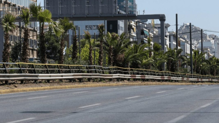 Συγγρού: Φυτεύτηκαν 300 φοίνικες από Πάντειο έως Φάληρο – Γιατί επιλέχτηκε το συγκεκριμένο δέντρο