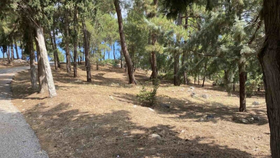Σε εξέλιξη το έργο αντιπυρικής προστασίας στα δάση Σερρών και Μαρμαρά
