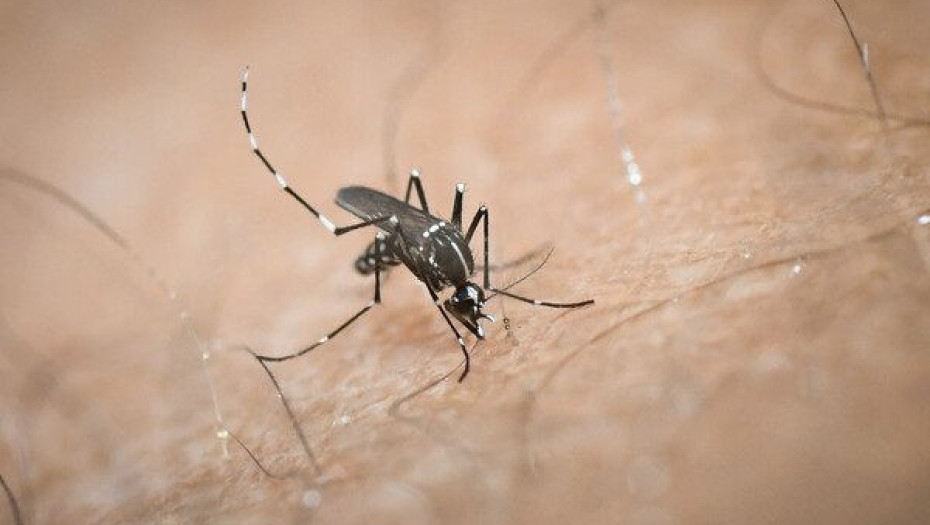 Πρώτο κρούσμα του ιού του Δυτικού Νείλου στην Ελλάδα – Η ανακοίνωση του ΕΟΔΥ