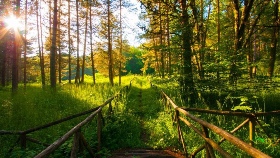 Είπε η Αποκεντρωμένη Διοίκηση Μακεδονίας-Θράκης  Όχι στο λατομείο στον Λαϊλιά