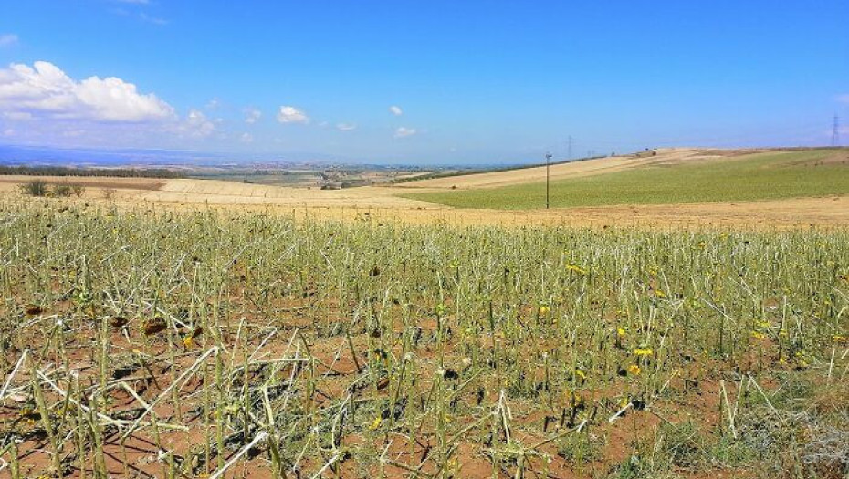 Το ΚΚΕ για τις ζημιές στους δήμους Αμφίπολης και  Ν. Ζίχνης