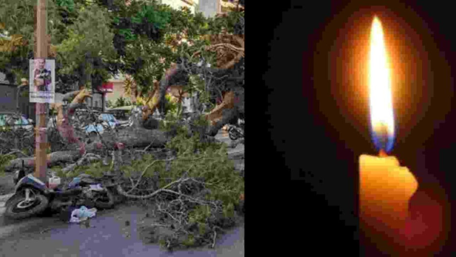 «Του φώναζαν ότι πέφτει το δέντρο, αλλά δεν τους άκουγε»: Αδιανόητη τραγωδία στο Ηράκλειο