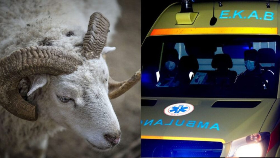 Τραγικό τέλος: Άνδρας χτυπήθηκε από κριάρι και τον βρήκε νεκρό ο γείτονας του