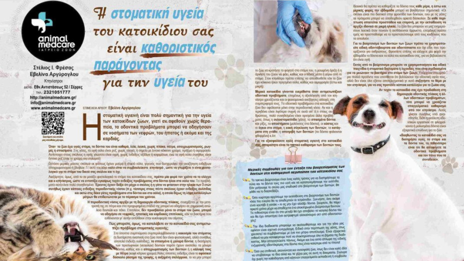 Η στοματική υγεία του κατοικίδιου σας είναι καθοριστικός παράγοντας για την υγεία του!