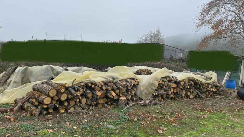 Συνελήφθησαν για παράνομη υλοτόμηση σε δάσος του δήμου Βόλβης