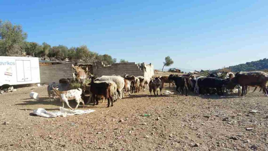 Μάνδρα: Ομολόγησε ο 14χρονος ότι σκότωσε τον αδελφό του