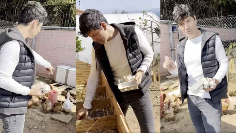 Μαζεύει αβγά από το κοτέτσι του: Ο αγρότης Σάκης Ρουβάς μας δείχνει πως δουλεύει στη φάρμα του σπιτιού του (ΒΙΝΤΕΟ)