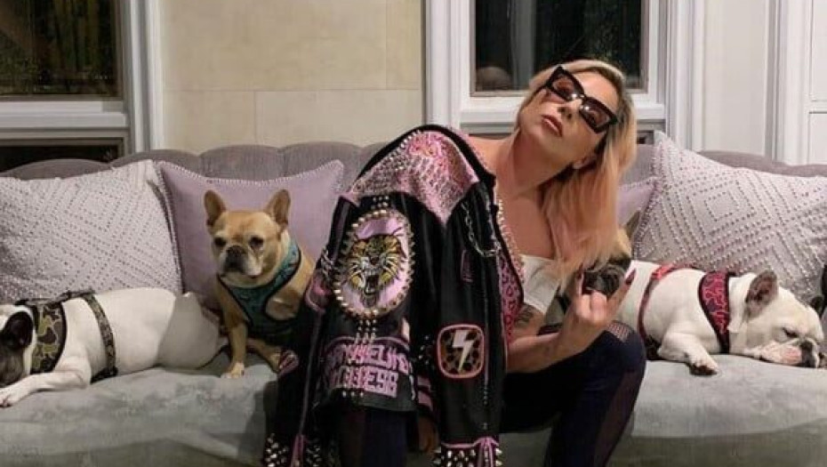 Lady Gaga: Μήνυση από συνεργό στην υπόθεση κλοπής των σκύλων της- Ζητά αποζημίωση 1,5 εκατ. $