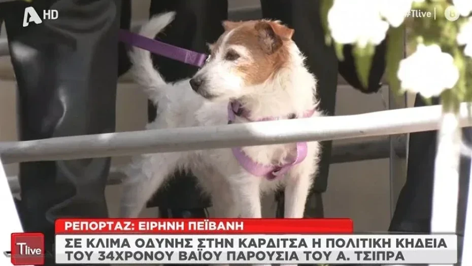 Τέμπη: Στην κηδεία του Βάιου Βλάχου και το σκυλάκι που δεν έπαψε να τον ψάχνει το βράδυ της τραγωδίας
