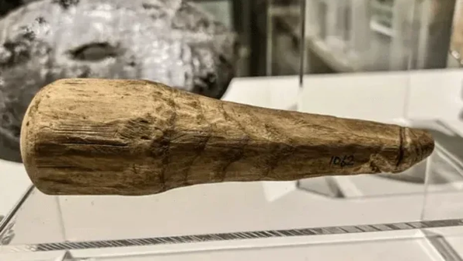 Αρχαιολόγοι πιστεύουν ότι ίσως βρέθηκε ο πρώτος ρωμαϊκός δονητής σε φυσικό μέγεθος- Ξύλινος, με μήκος 16 εκατοστά