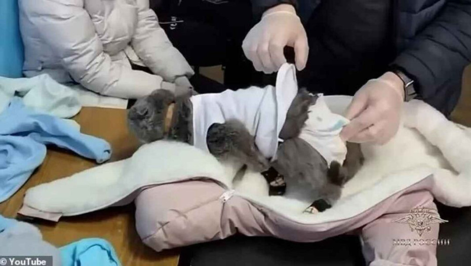 Ρωσία: Γυναίκα «έντυσε» τη γάτα της μωρό για να περάσει ναρκωτικά – Δείτε βίντεο