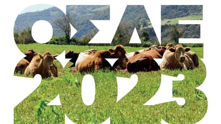 Έναρξη υποβολής Δηλώσεων ΟΣΔΕ 2023 στο Gov.gr