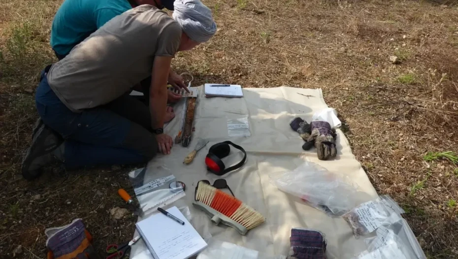 Για καλλιέργειες αμπελιών στην αρχαιότητα: Έρευνα στον αρχαιολογικό χώρο της Τερπνής