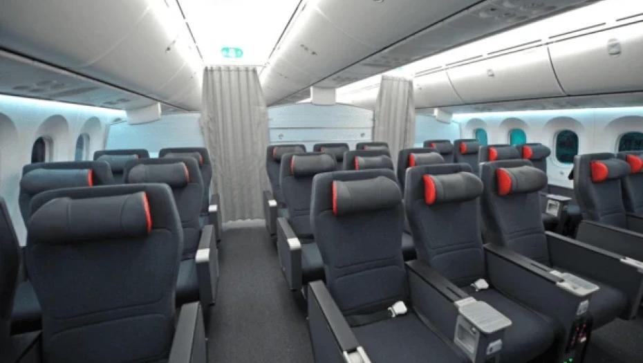 Παραπονέθηκαν ότι οι θέσεις τους μύριζαν εμετό και τους κατέβασαν από το αεροπλάνο